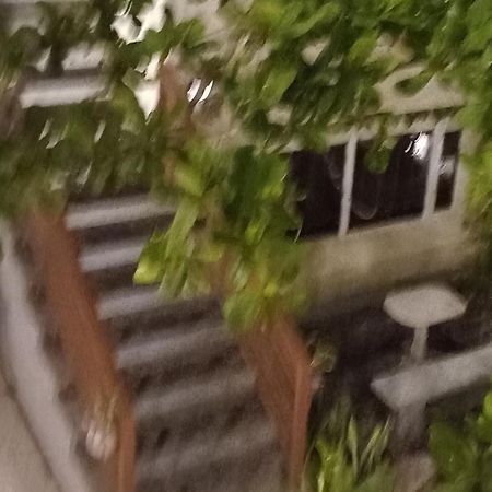 Beachfront Bed & Breakfast سان خوسيه المظهر الخارجي الصورة